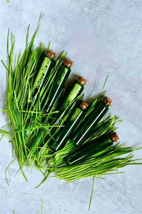 How to make Wheatgrass Shots and Juice - Alphafoodie