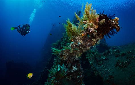 Tulamben USAT Liberty - 5 Great Reasons To Scuba Dive Here