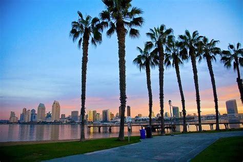 San Diego Scenic Tour 2024