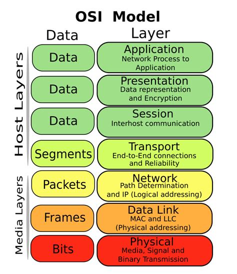 OSI Model Diagram | Quizlet