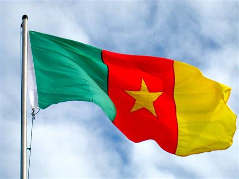 Graafix!: Flag of Cameroon flag graphics