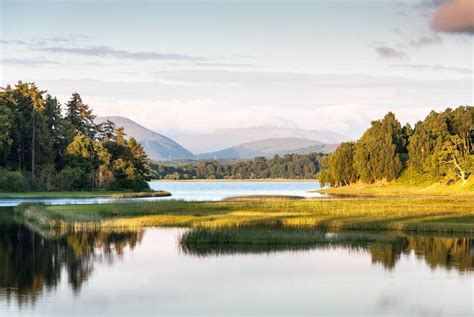 Discover Scotland: Highland Wildlife & Majestic Mountains | Holidays ...