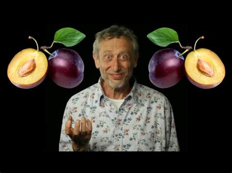 High On Plums - Michael Rosen (official music video) - YouTube