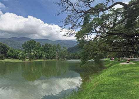 Taiping Lake Gardens