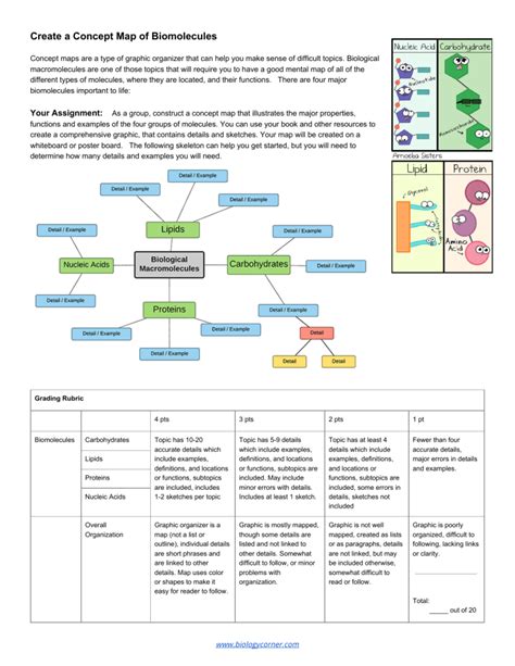 Create a Concept Map of Biomolecules (1)