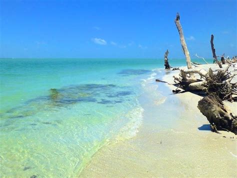 cayo costa island | ... Service Punta Gorda Florida - Cruise Cayo Costa ...