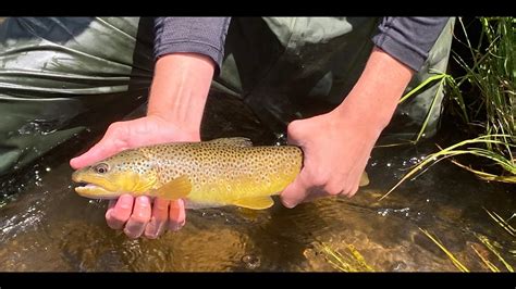 Fraser River Fly Fishing (Part 1) - YouTube