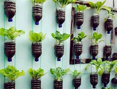 Cara Membuat Vertical Garden dari Botol Bekas di Rumah Anda ...