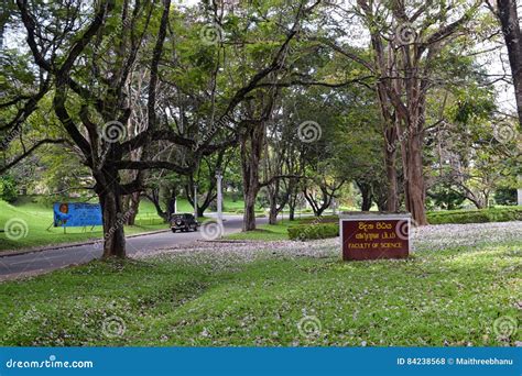 Faculty of Science - University of Peradeniya Editorial Stock Photo - Image of grass, dome: 84238568