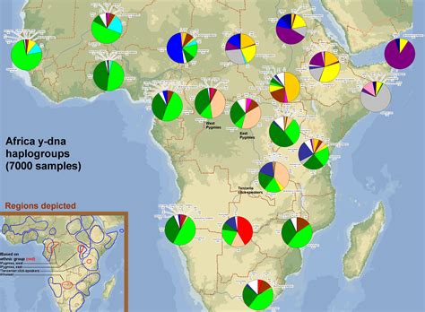 Leherensuge: Nice Y-DNA map of Africa