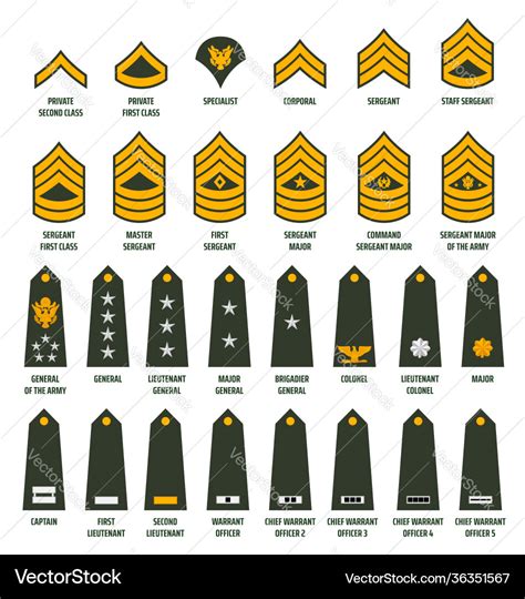 Enlisted Army Ranks The Army Enlisted Ranks In The Ar - vrogue.co