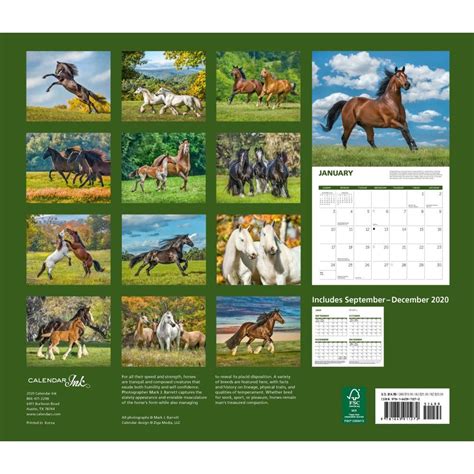 Horse Race Calendar 2024 - Calendar Printables