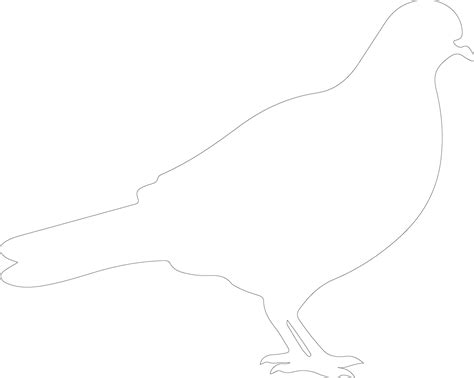 pigeon outline silhouette 38495544 Vector Art at Vecteezy