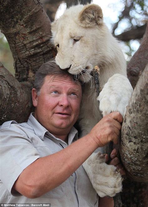 South African safari park lead to save the beautiful white lion from extinction | Daily Mail Online