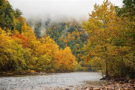 5 Best Areas to Catch Fall Foliage in the Poconos