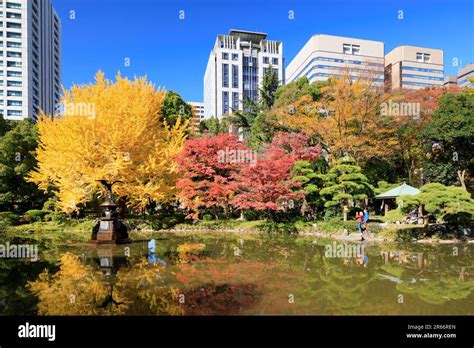 Hibiya park autumn leaves Stock Photo - Alamy