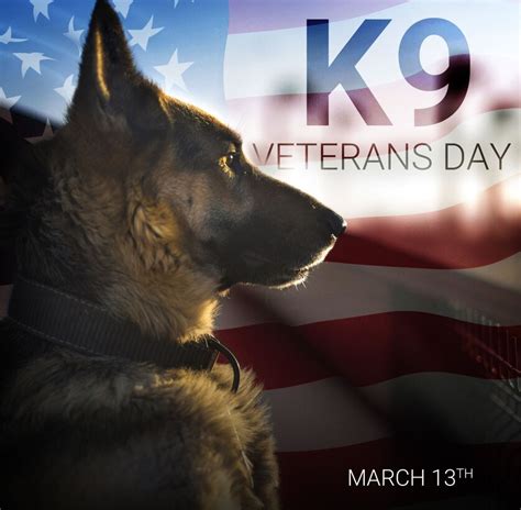 K9 Veterans Day