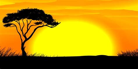 8m x 4m African Sunset Backdrop