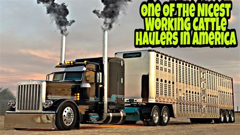 How To Be A Cattle Hauler, Lesage Trucking Gives Us A Inside Tour Of ...