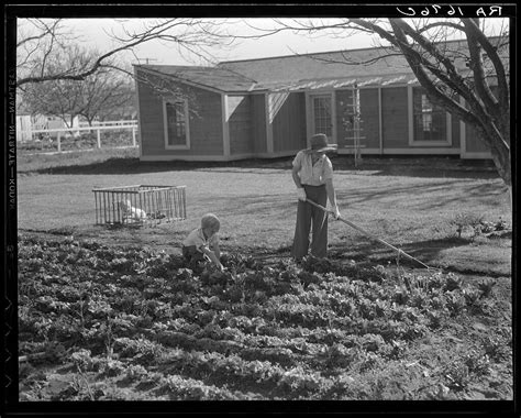 Wild Homestead Living— Digging Down to Our Roots: The History of ...