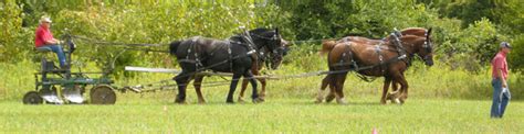 Draft Horse Days & United States Plowing Contest