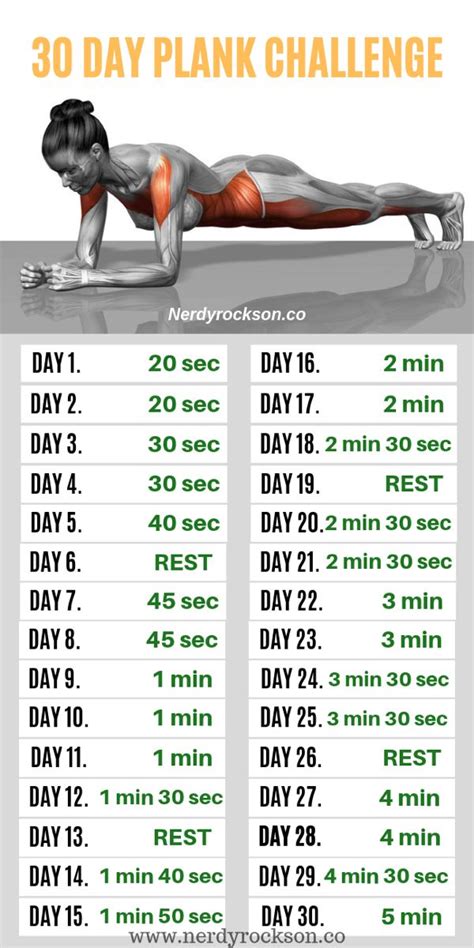 the 30 day plank challenge is here to help you get ready for your next ...