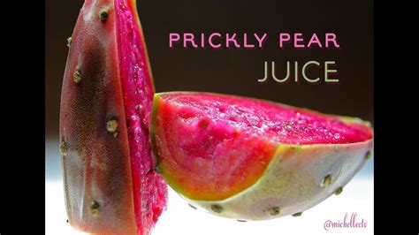 PRICKLY PEAR CACTUS JUICE (Perfect for Margarita Cocktails!) - YouTube