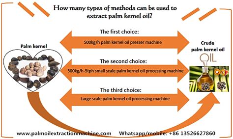 How many types of methods can be used to extract palm kernel oil?_FAQ