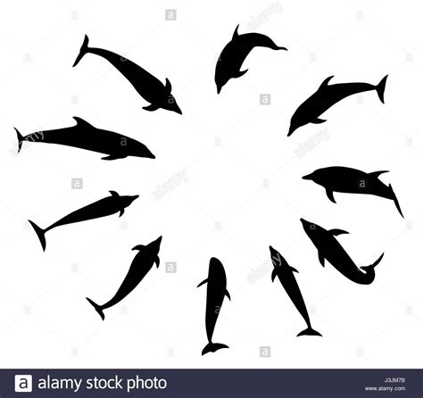 Dolphin Jumping Silhouette at GetDrawings | Free download