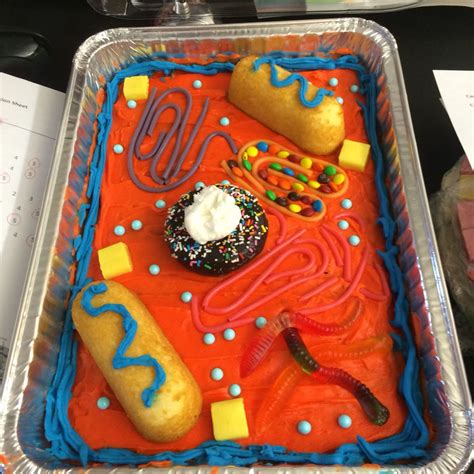 Pin by Rachael Brenneman on Science Project Cell Diagram | Edible cell project, Edible cell ...