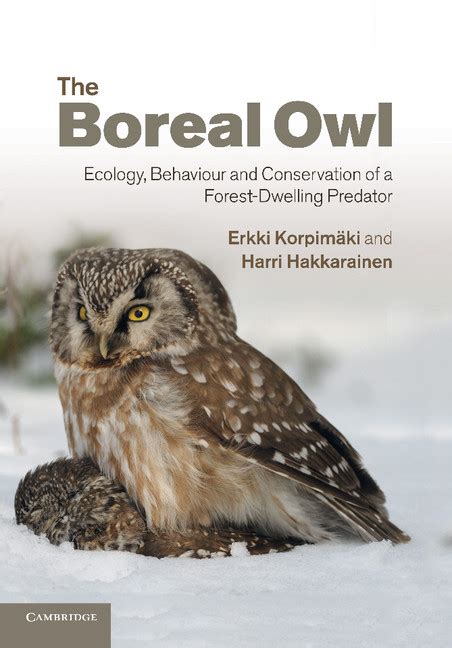 The Boreal Owl