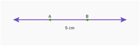 What is Line Segment? - [Definition, Facts & Example]