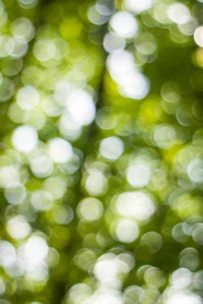 Soft green natural bokeh background - Stock Image - Everypixel