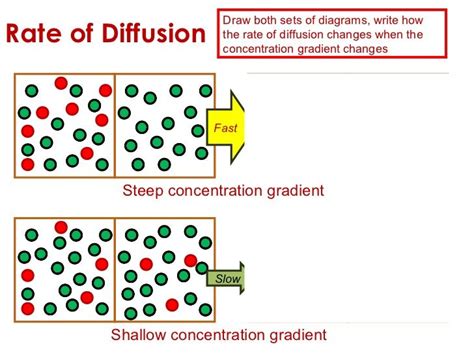 steep diffusion gradient - Google Search | Diffuser, Sample resume, Writing