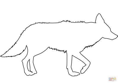 Coyote Outline