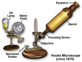 Molecular Expressions Microscopy Primer: Museum of Microscopy - Hooke's ...