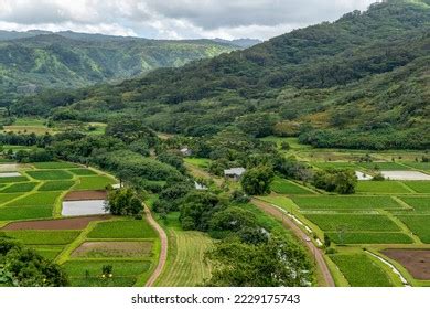 Hawaii Plantation Village Photos and Images | Shutterstock