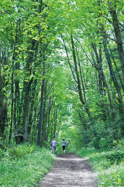 Forest Park Guide: The Best Hikes | Forest park portland, Forest park ...