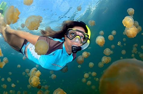 A Living Eden: Rocking the Republic of Palau | Scuba Diving News, Gear ...