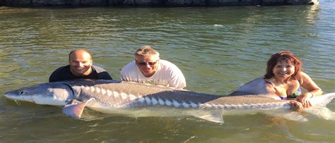 Columbia River Sturgeon Fishing Charters- the best experience around