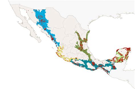 Jaguars in Mexico are growing in number, a promising sign that national conservation strategies ...