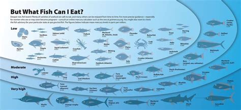 635406019083438225.jpg 2,047×945 pixels | Fish chart, Fish, Can i eat