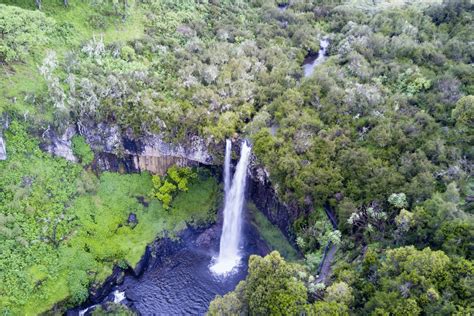 2 Days Aberdare National Park Safari | Overnight Tour of Aberdare