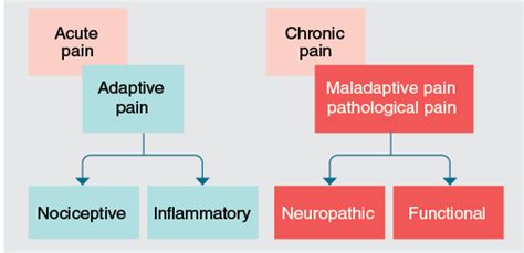 Acute vs. Chronic Pain