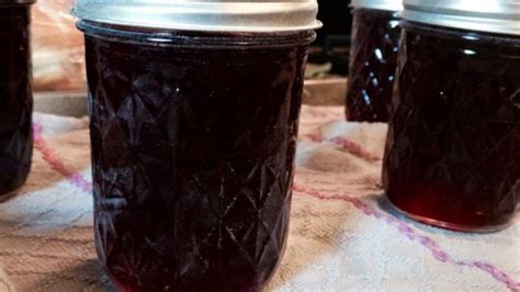 Concord Grape Jelly Recipe - Allrecipes.com