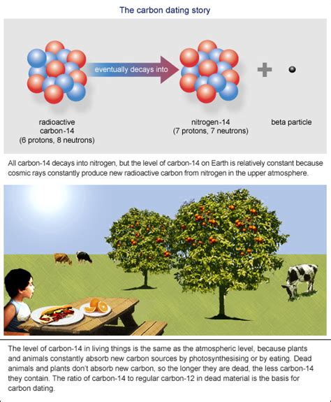 A date with carbon › Bernie's Basics (ABC Science)