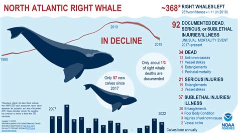 Save North Atlantic Right Whales Along Jersey Shore — Save Coastal Wildlife