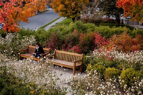 Boston College — STIMSON Campus Landscape, Landscape Architecture ...