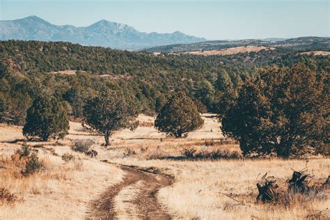 Billy the Kid & Lincoln National Forest - BIKEPACKING.com