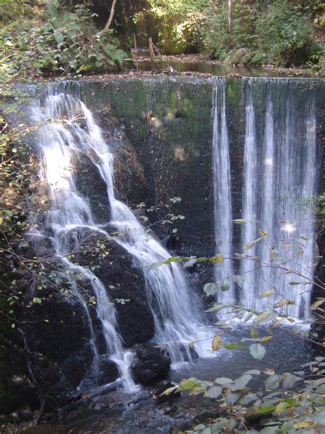 Alva Glen, Alva, Clackmannanshire....HOME | Scotland travel, Nature, Scotland